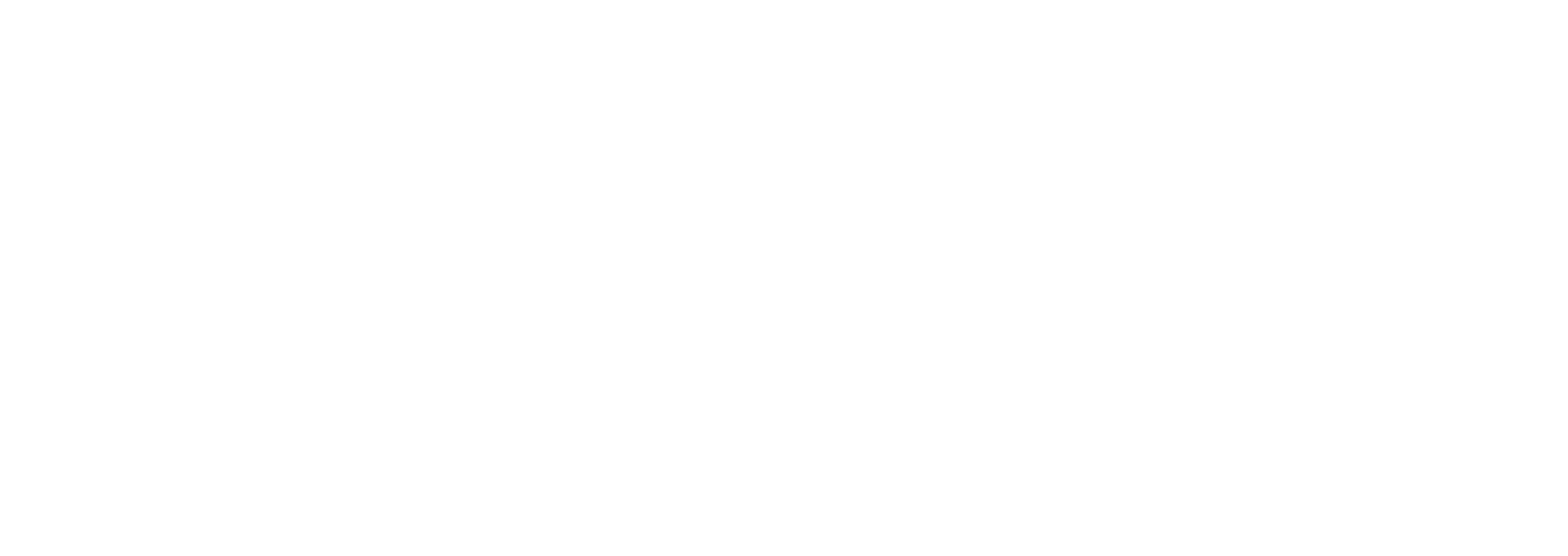 Smile Of Nepal logo bianco